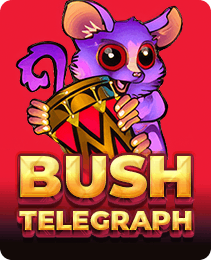 Bush Telegraph on IX7 Game - IX7 Apk Download